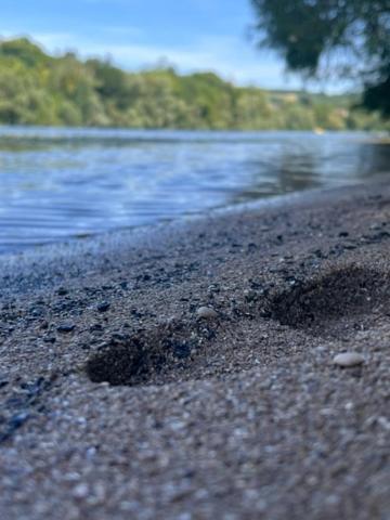 Hotel La Sequana Moisson Zewnętrze zdjęcie